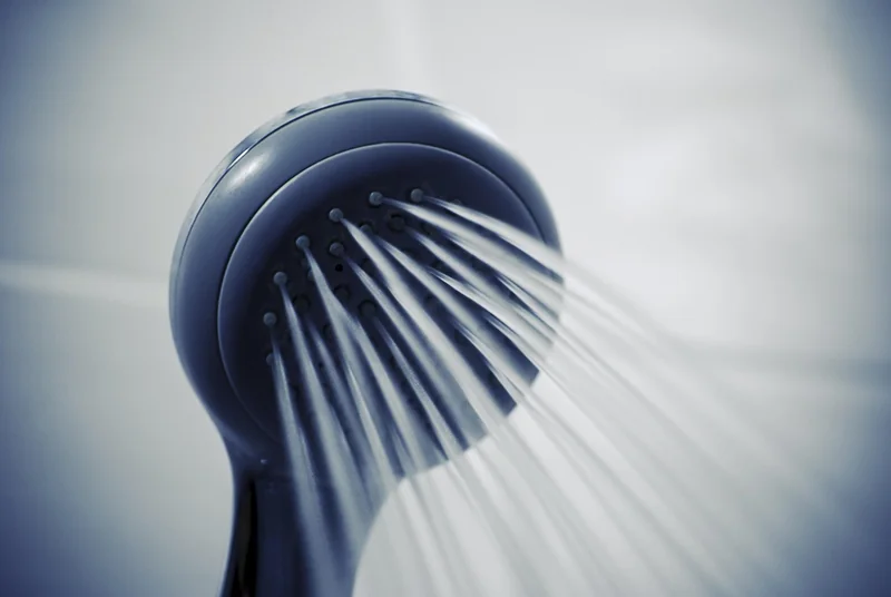 Comment se débarrasser des vers noirs dans les toilettes ?