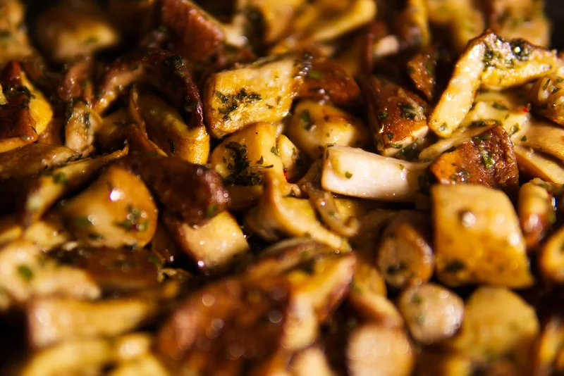 Préparation et recettes : mon retour d'expérience