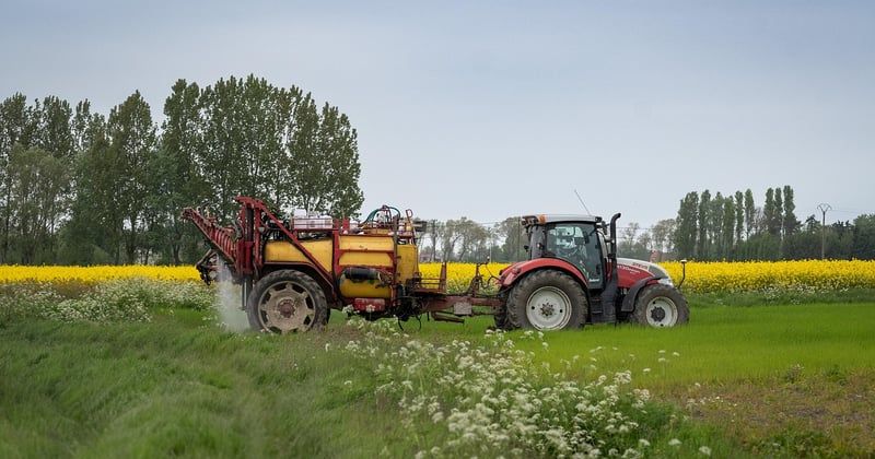 Roundup Ultra Plus : le désherbant qui élimine tout sur son passage