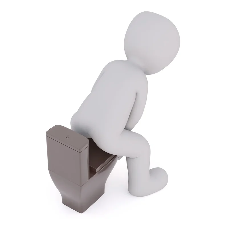 Identifier les vers dans vos toilettes : larves de moucherons ou oxyures ?