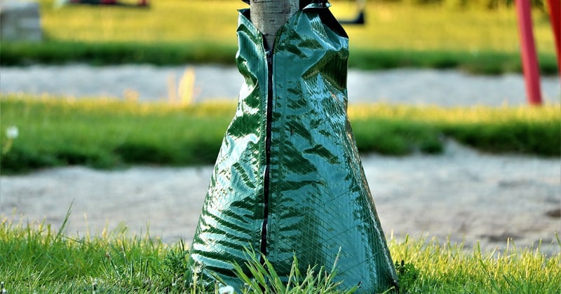 Techniques innovantes pour jardin : 7 astuces qui changent tout