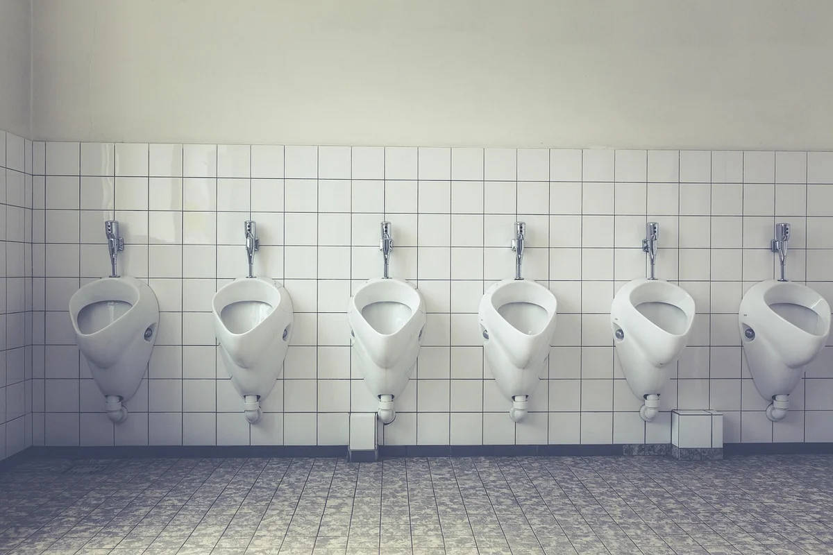 Pourquoi ces larves apparaissent dans vos toilettes en 2026