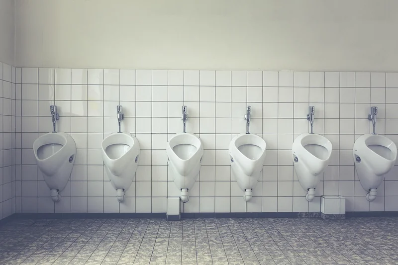 Pourquoi ces larves apparaissent dans vos toilettes en 2026